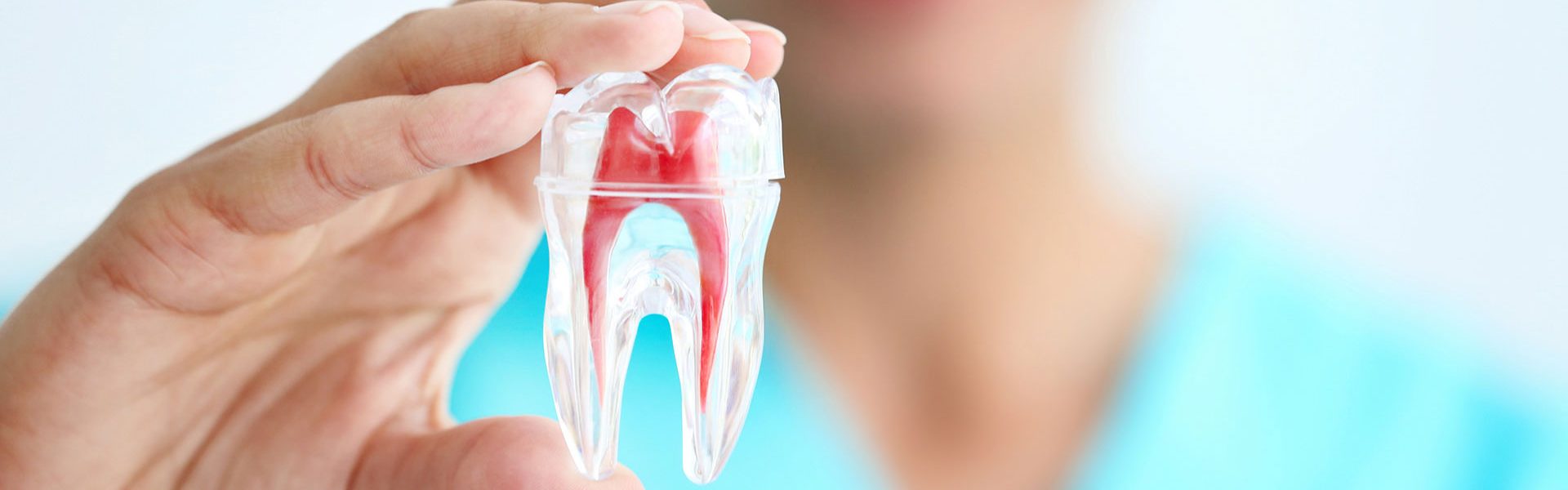 endodonzia endodonzia